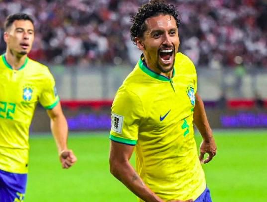 嫩草视频在线看